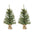 Mini Pine Tree with Burlap Bag Base and Pinecone Accents (Set of 2)