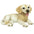 Yellow Labrador Puppy Dog Statue