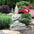 Praying Seated Ayutthaya Thai Buddha Statue