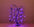 2' Purple LED Battery Operated Willow Tree