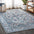 Modern Vintage Medallion Area Rug