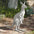 Australian Outback Kangaroo Garden Statue