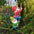 Up the Ladder: Climbing Garden Gnome Statue