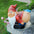 Loonie Moonie Bare Buttocks Garden Gnome Statue: Large