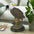 Noble Strength Bald Eagle Statues: Medium