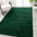 Haze Solid Unique Low-Pile Area Rug-