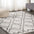 Soller Diamond Trellis Shag Area Rug