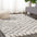 Algaida Moroccan Diamond Shag Area Rug