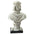 Raphael Sanzio da Urbino Renaissance Master Bonded Marble Resin Statue