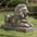 21.75"L MGO Bronze Lying Guardian Lion Garden Statue