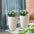 Set of 2 19.75"H Faux Ceramic Diamond Textured Tall Planter