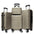 Luggage 4 Piece Set with Spinner Wheels, Hardshell Lightweight Suitcase with TSA Lock,Checked Luggage